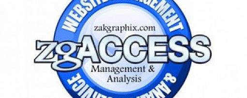 zgACCESS Website Management & Analysis Service